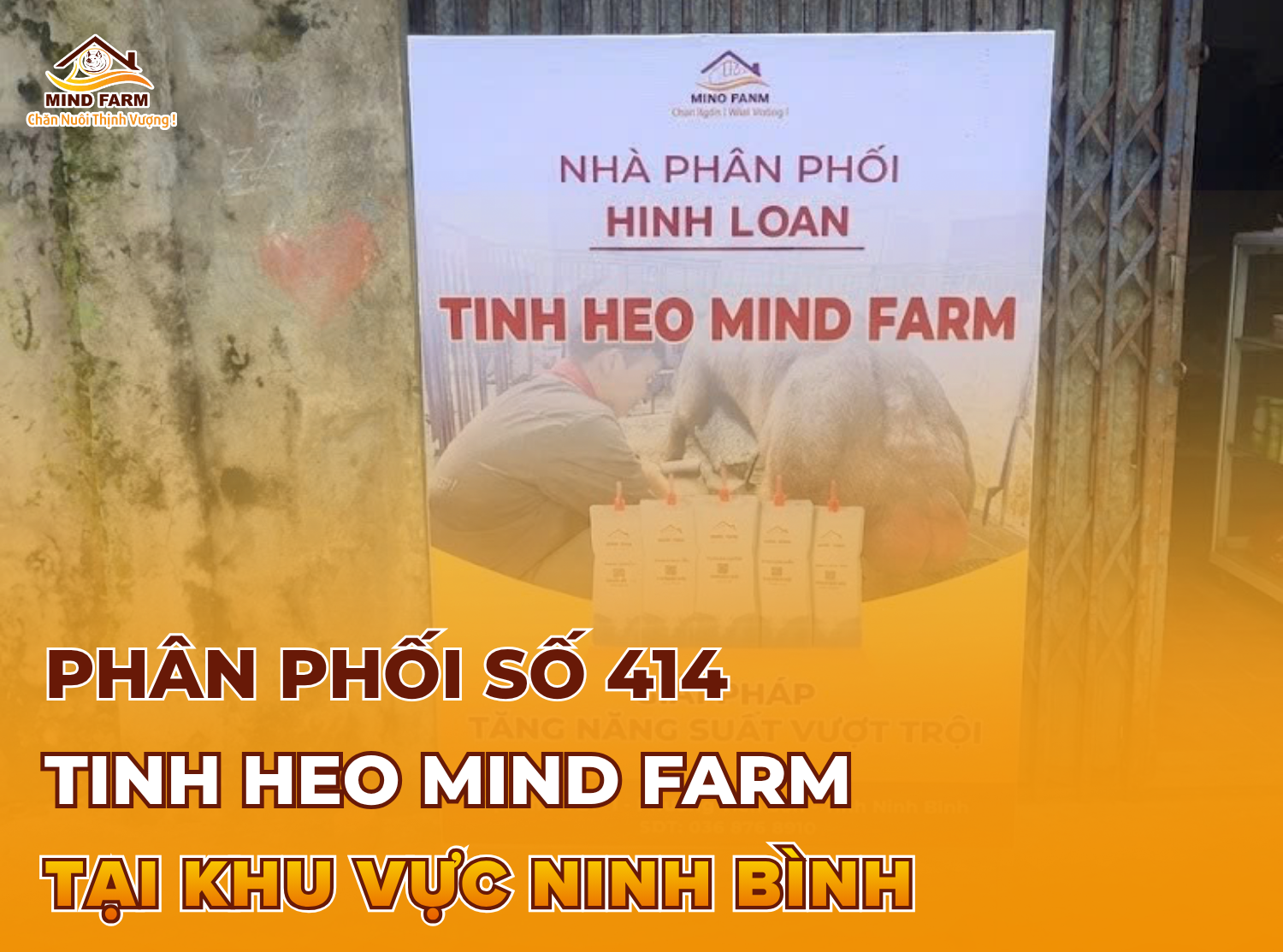 [ĐẠI LÝ SỐ 414] phân phối tinh heo Mind Farm tại Ninh Bình