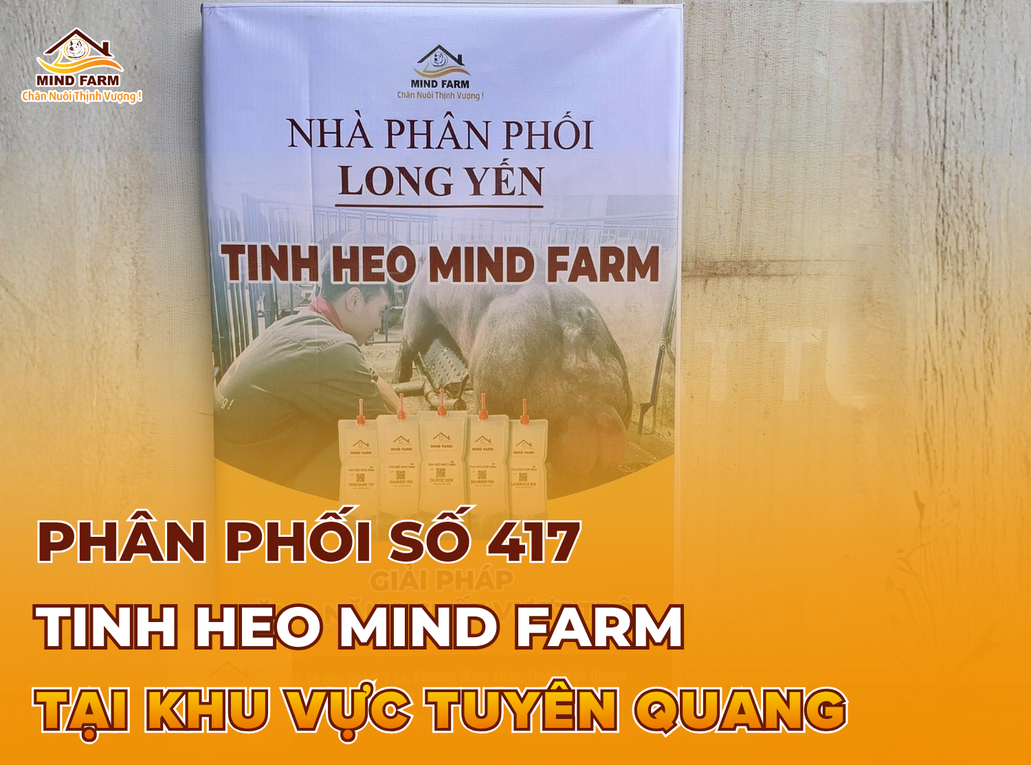 [ĐẠI LÝ SỐ 417] phân phối tinh heo Mind Farm tại Tuyên Quang