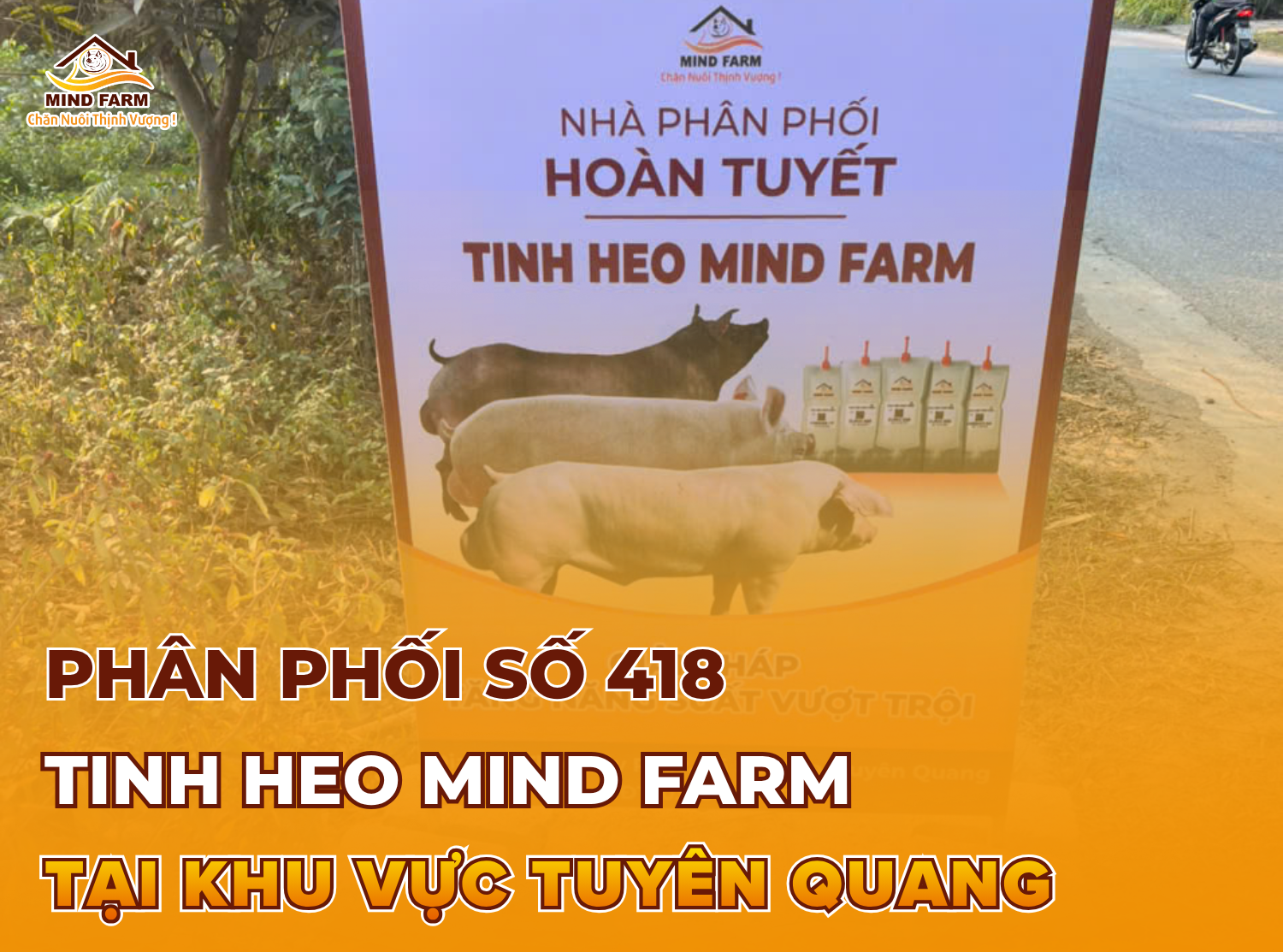 [ĐẠI LÝ SỐ 418] phân phối tinh heo Mind Farm tại Tuyên Quang