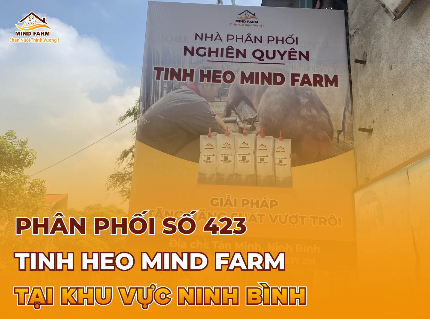 [ĐẠI LÝ SỐ 423] Phân phối tinh heo Mind Farm tại khu vực Ninh Bình