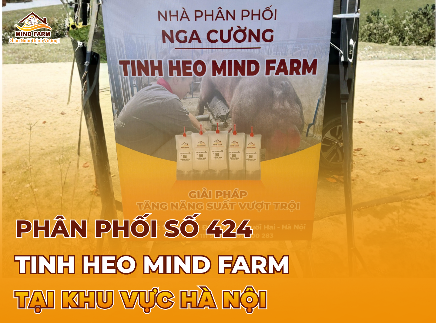 [ĐẠI LÝ SỐ 424] Phân phối tinh heo Mind Farm tại khu vực Suối Hai, Hà Nội