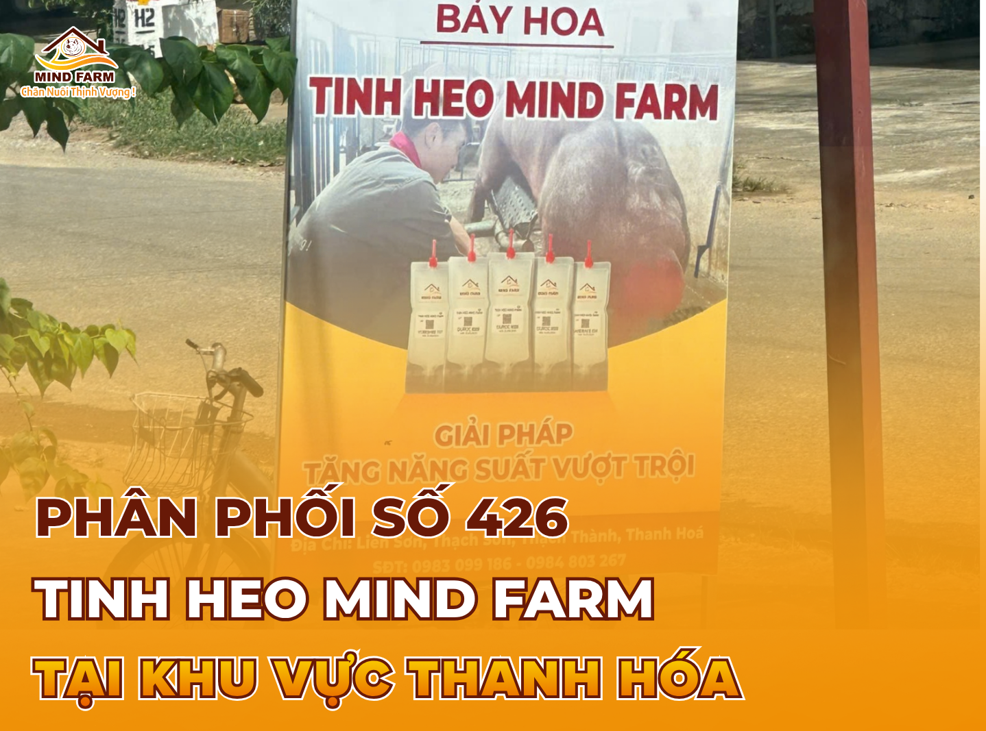 [ĐẠI LÝ SỐ 426]  Phân phối tinh heo Mind Farm tại khu vực Thanh Hóa