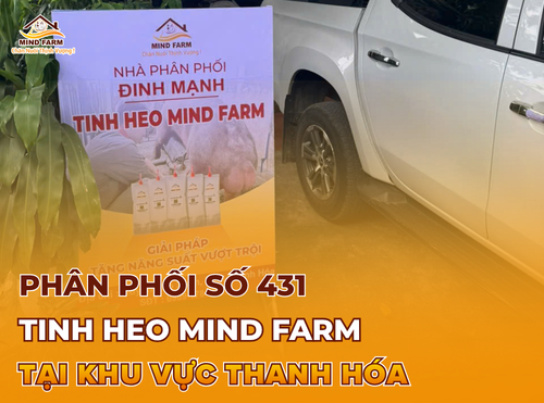 [ĐẠI LÝ SỐ 431] Phân phối tinh heo Mind Farm tại khu vực Thanh Hóa