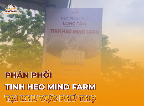 [ĐẠI LÝ SỐ 428] Phân phối tinh heo Mind Farm tại khu vực Phú Thọ