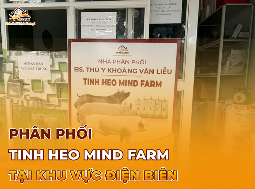 [ĐẠI LÝ SỐ 427] Phân phối tinh heo Mind Farm tại khu vực Điện Biên 