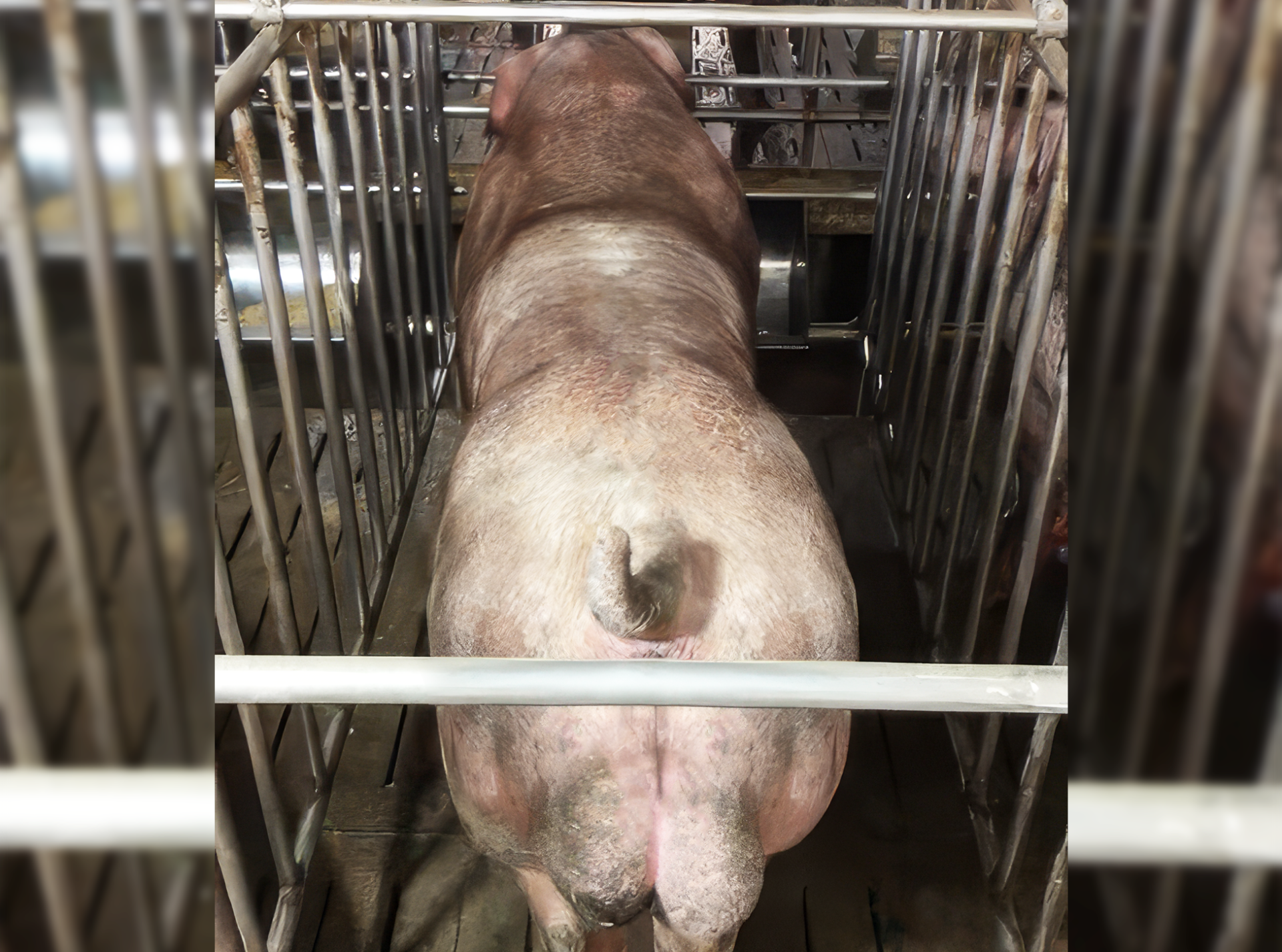 DUROC 3026