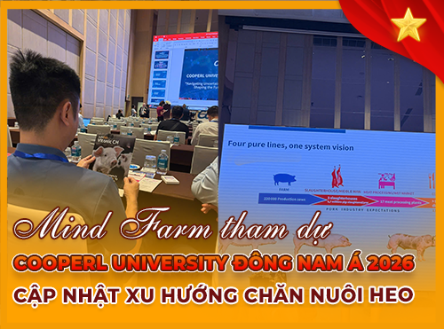 Mind Farm tham dự Cooperl University Đông Nam Á 2026 - Cập nhật xu hướng chăn nuôi heo