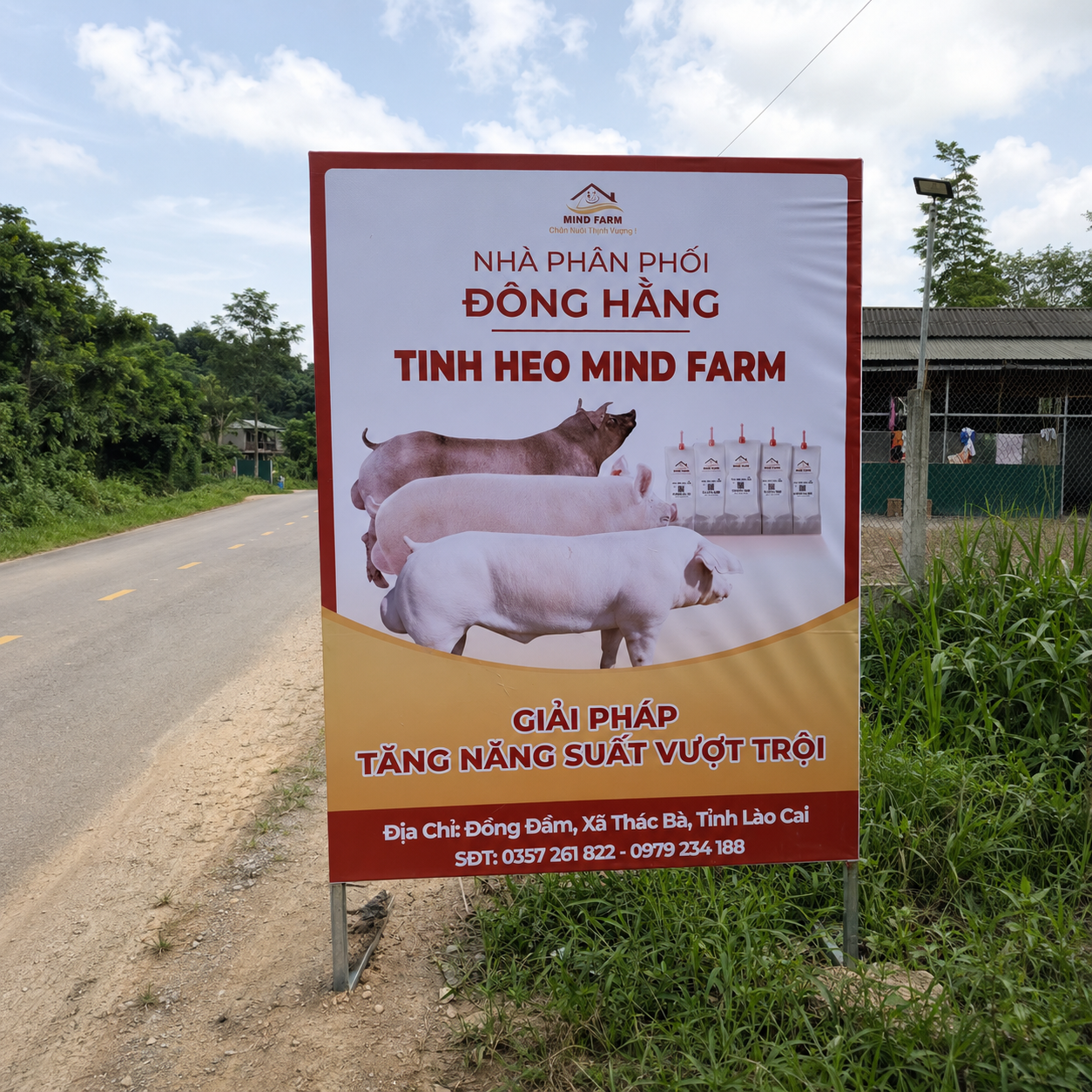 [ĐẠI LÝ SỐ 421] phân phối tinh heo Mind Farm tại khu vực Lào Cai