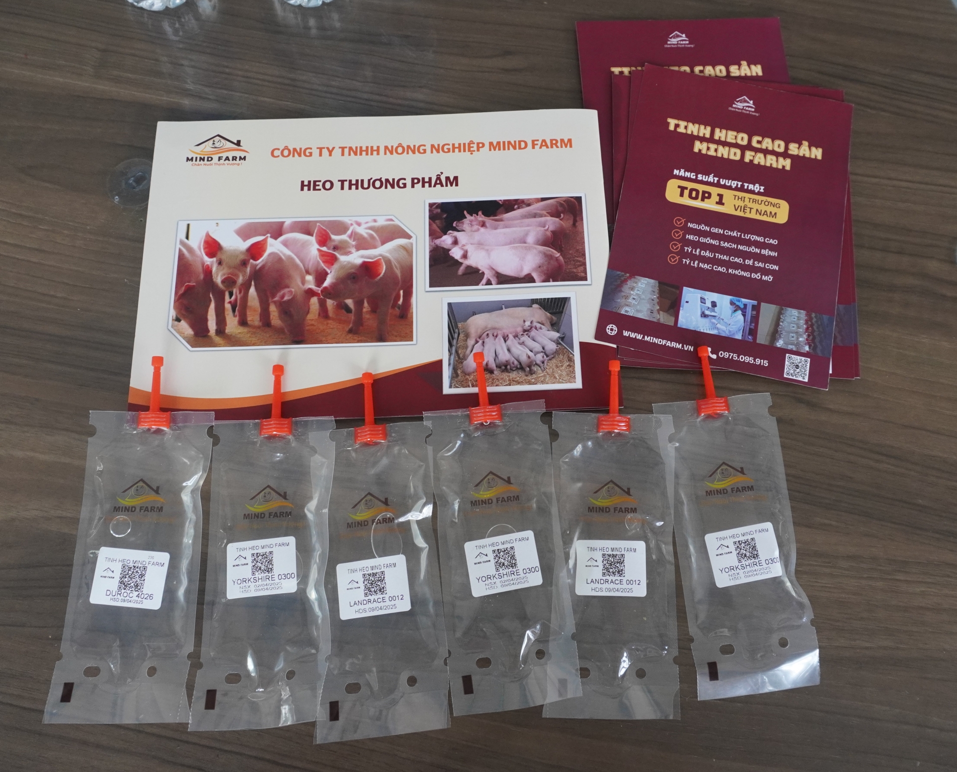 Nhận biết tinh heo kém chất lượng bằng mắt thường qua 4 dấu hiệu này