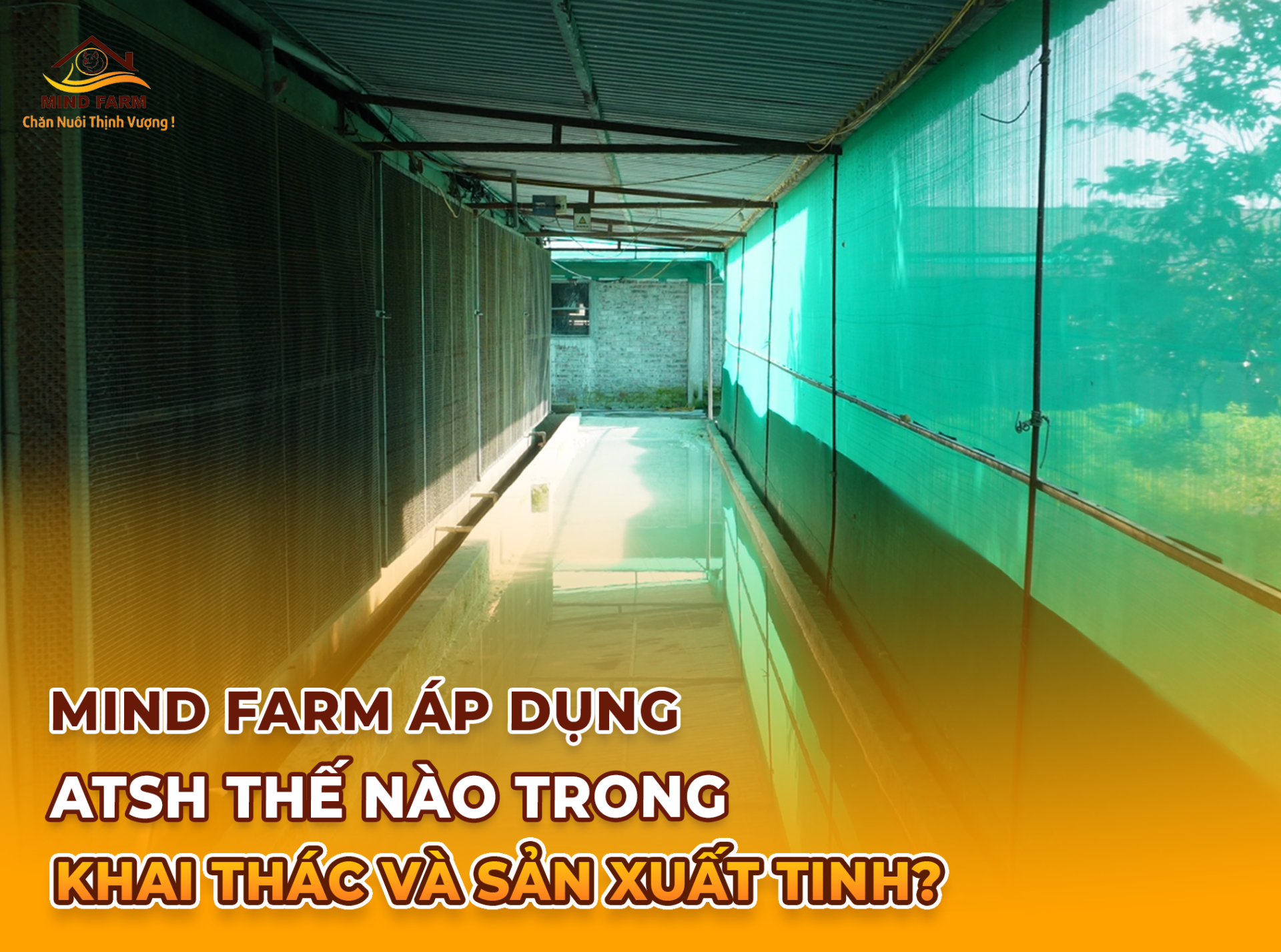 Mind Farm áp dụng ATSH thế nào trong khai thác & sản xuất tinh?