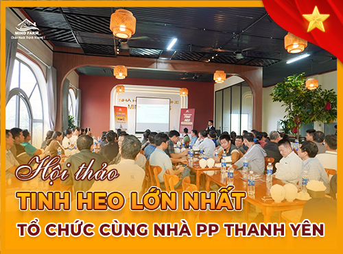 Hội thảo tinh heo lớn nhất từ trước đến nay: Mind Farm cùng nhà PP Thanh Yên tổ chức