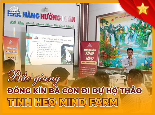 Thành công nối tiếp thành công: Hội thảo Mind Farm tại Bắc Giang