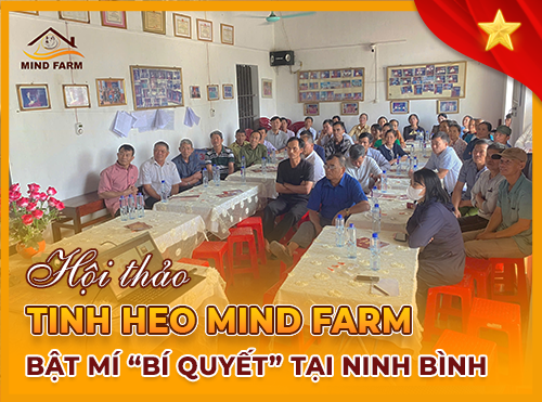 HOT: Hội thảo tinh heo Mind Farm tại Ninh Bình