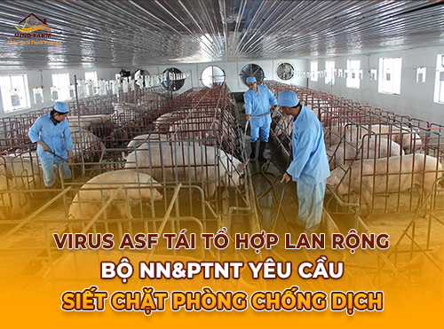 Cục Chăn nuôi và Thú y cập nhật tình hình ASF và khuyến cáo sử dụng vắc xin tại Việt Nam