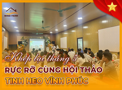 Hội thảo khép lại tháng 5: Đồng hành cùng người nông dân Vĩnh Phúc