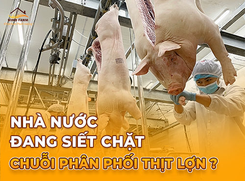 Siết chặt chuỗi phân phối thịt lợn: Giải pháp then chốt để đảm bảo an toàn thực phẩm