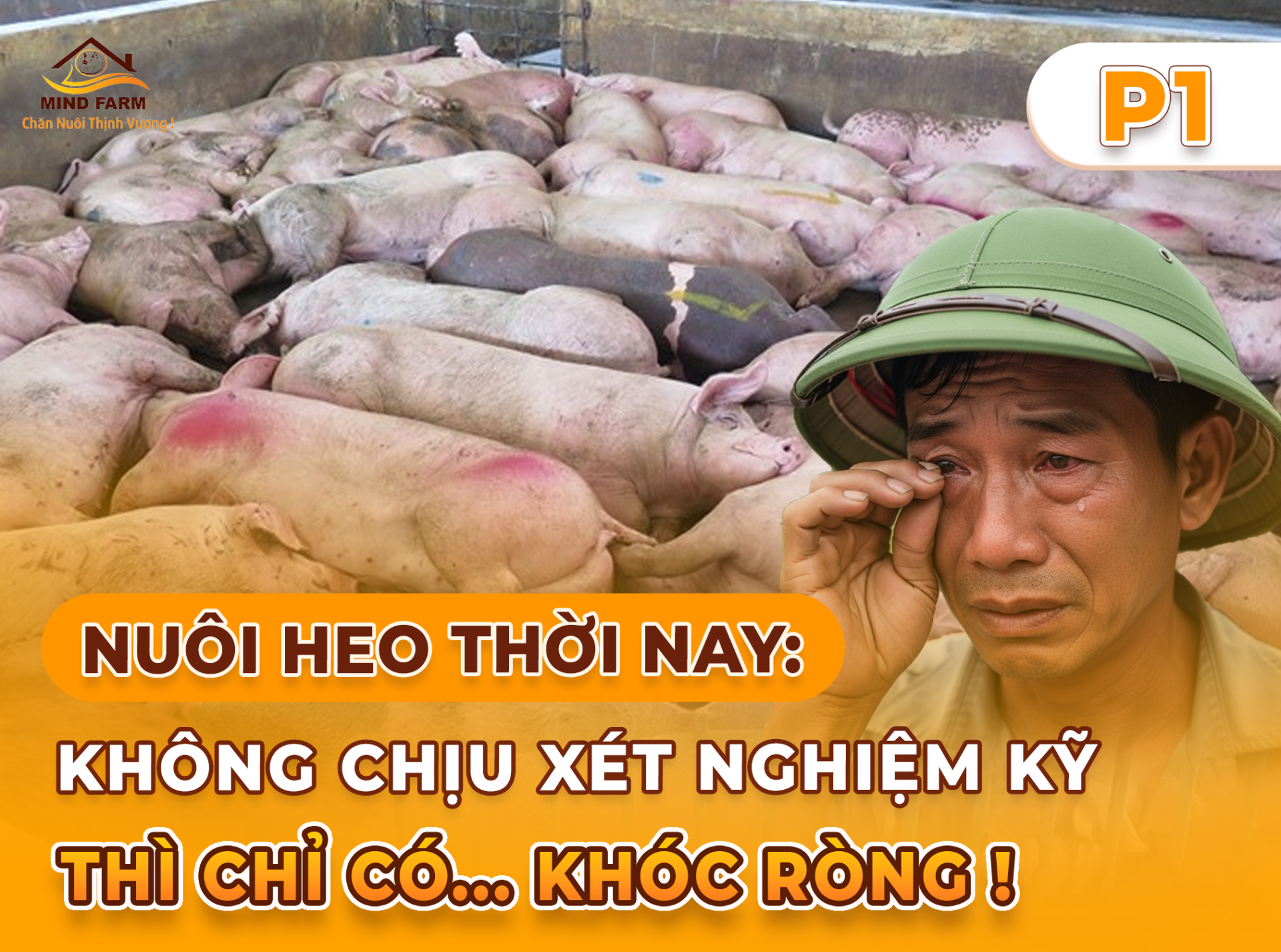 Phần 1: Cơ hội nào cho thị trường chăn nuôi Việt Nam 2025?