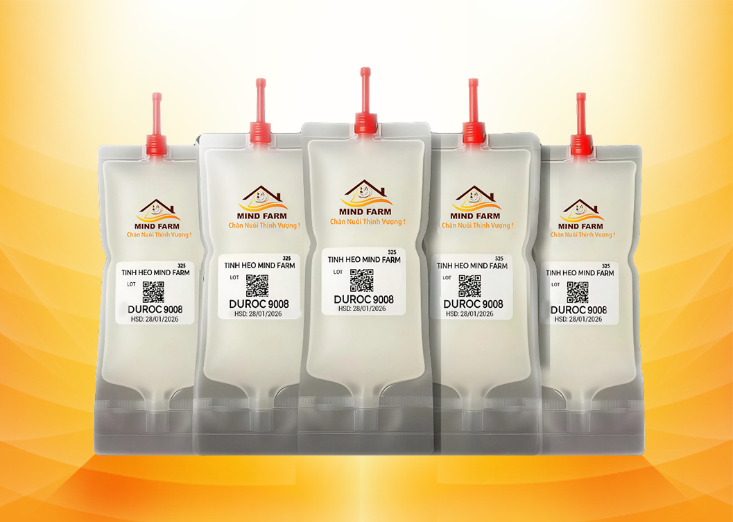 Tinh heo đực giống DUROC