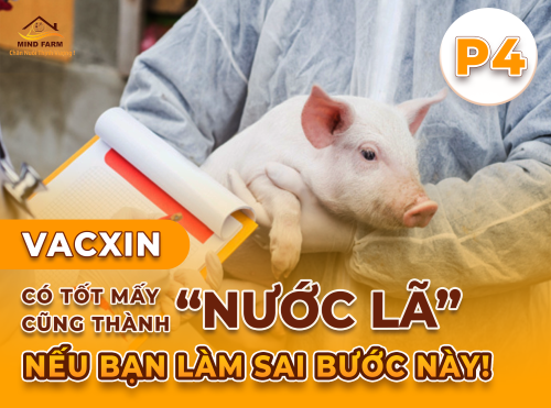 Phần 4: Bảo quản và sử dụng vacxin sau giã đông