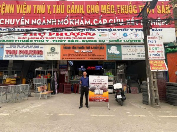 [ĐẠI LÝ THỨ 400] : Phân phối tinh heo Mind Farm tại Phú Xuyên Hà Nội