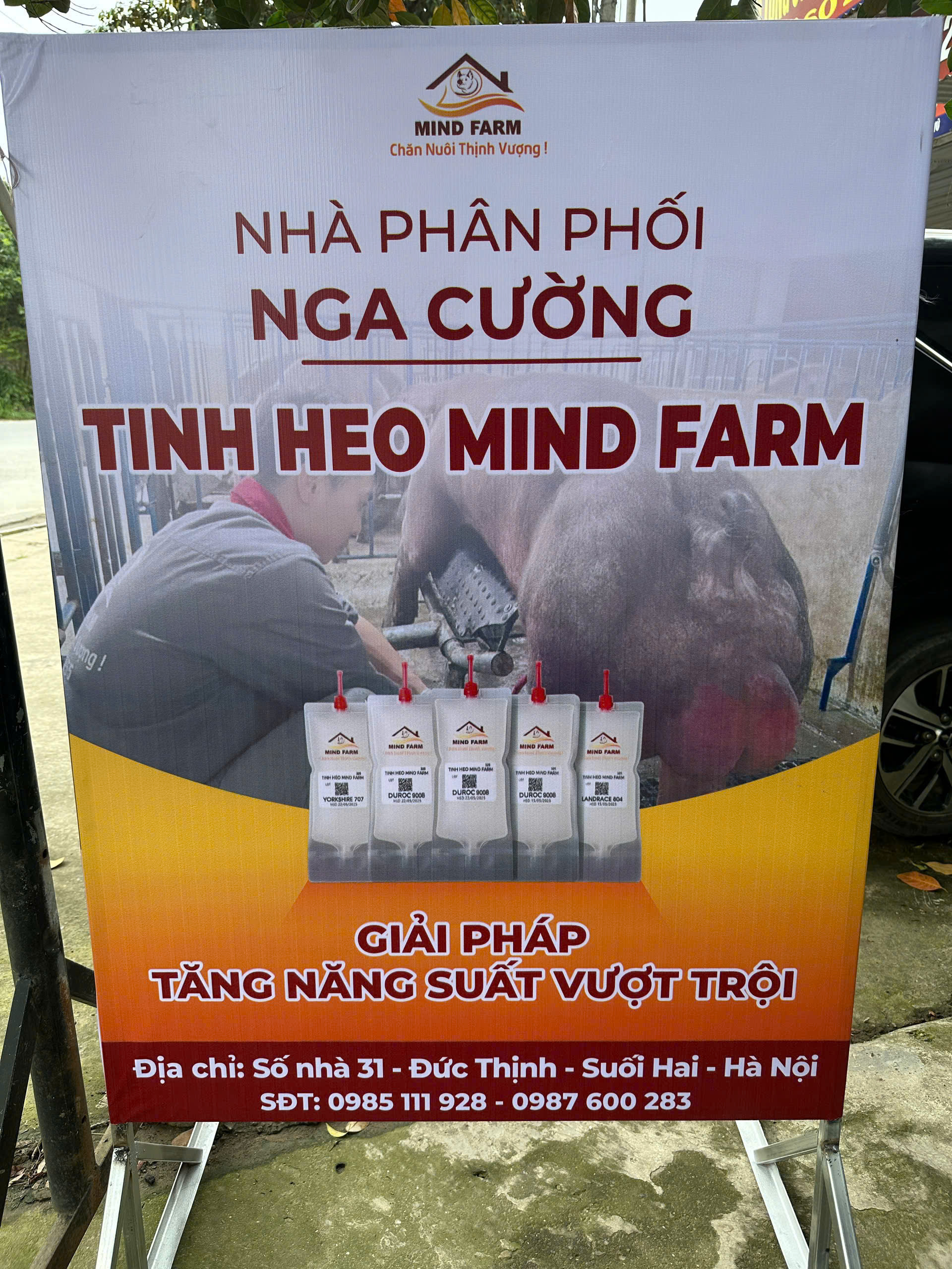 [ĐẠI LÝ SỐ 424] Phân phối tinh heo Mind Farm tại khu vực Suối Hai, Hà Nội